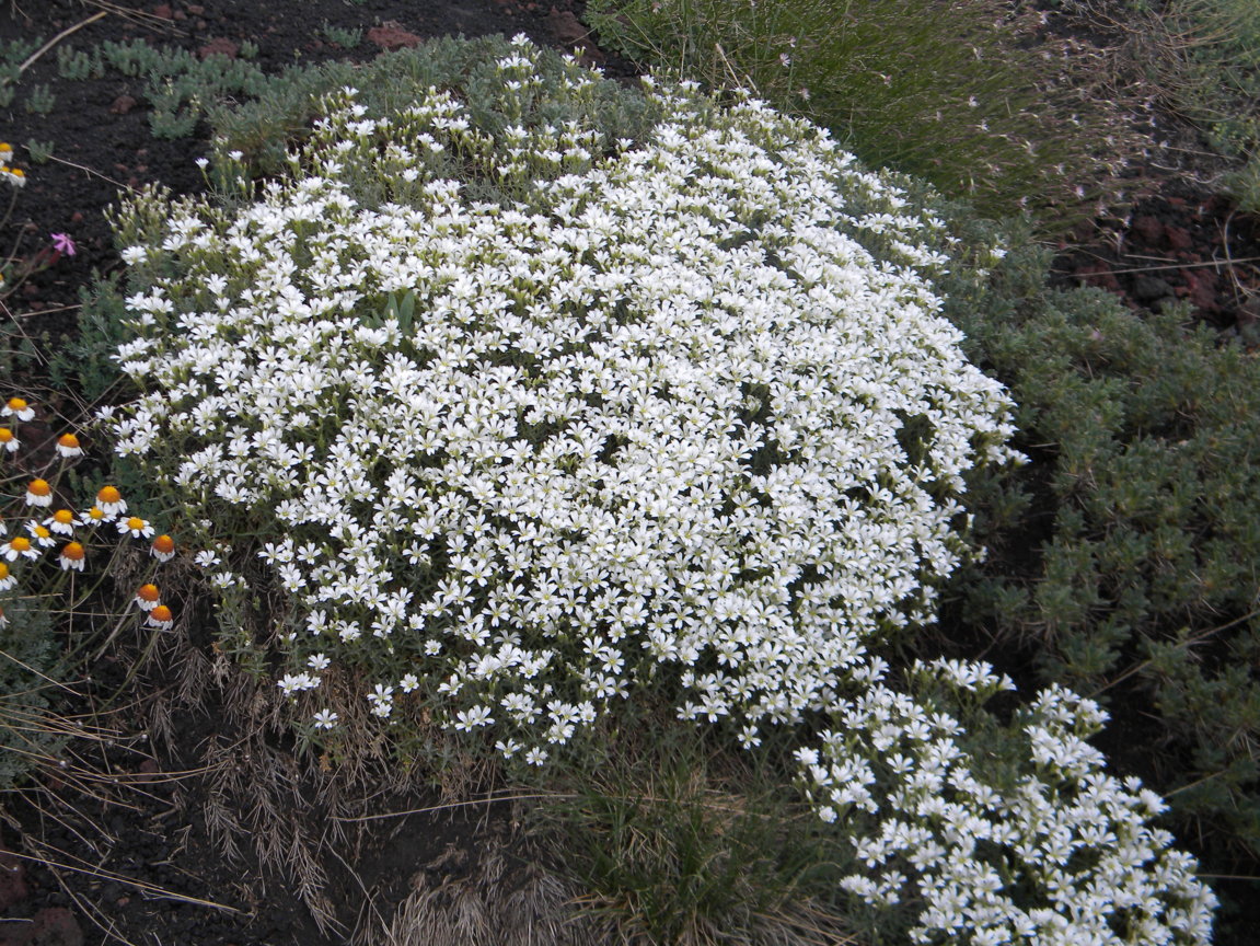 DSCN9498 .JPG